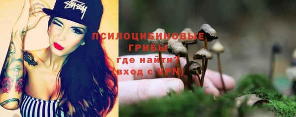 тгк Армянск