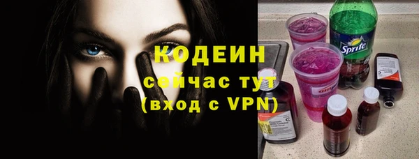 хмурый Арсеньев