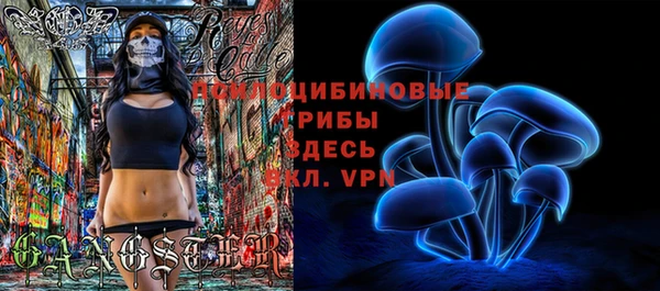 хмурый Арсеньев