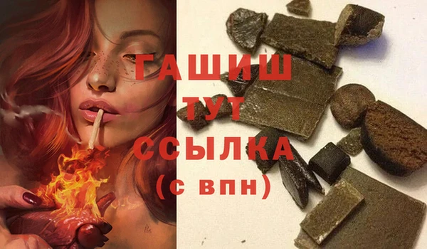 хмурый Арсеньев