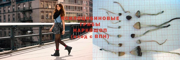 Альфа ПВП Алексин
