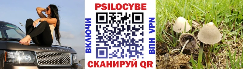 Псилоцибиновые грибы Psilocybe  MEGA как войти  Артёмовск 